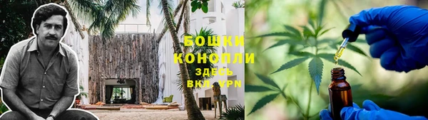 ГАЛЛЮЦИНОГЕННЫЕ ГРИБЫ Навашино