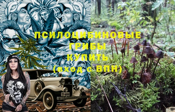 бошки Надым