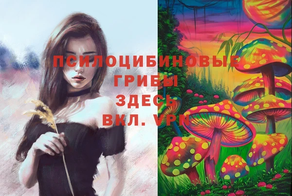 бошки Надым