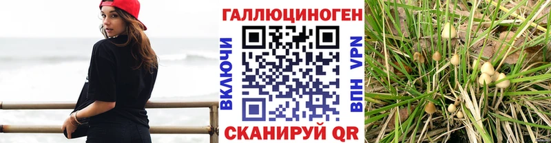 kraken рабочий сайт  наркошоп  Каневская  Псилоцибиновые грибы MAGIC MUSHROOMS 