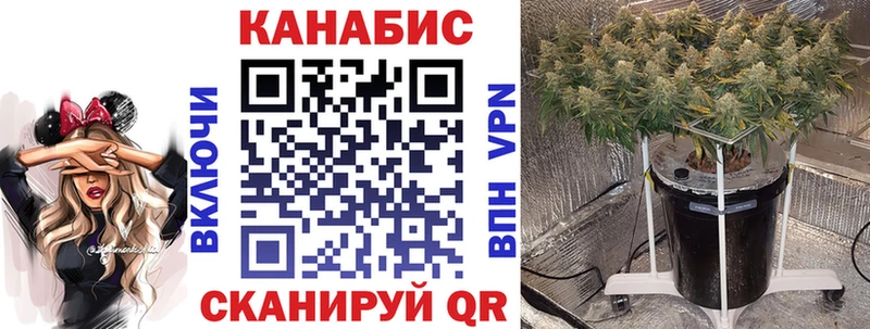 Бошки марихуана Bruce Banner  OMG ССЫЛКА  Каневская  даркнет сайт 